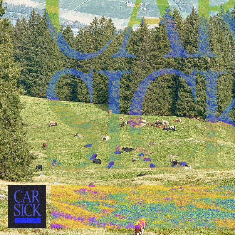 Green pasture with grazing cattle and a giant translucent CARSICK title